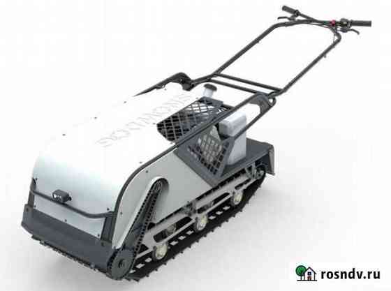 Мотобуксировщик BM Snowdog Z460 Ultra Петропавловск-Камчатский