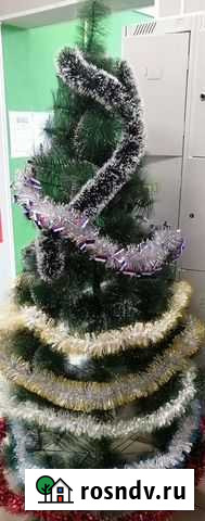 Новый год Алтайское - изображение 1