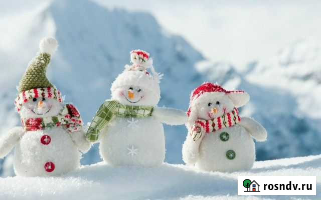 Дедушка Мороз и внучка Снегурочка Протвино - изображение 1