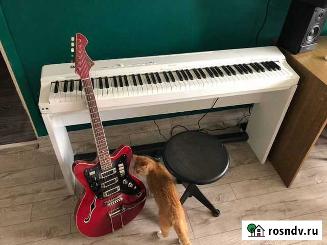 Учитель музыки репетитор пианино гитара укулеле Сергиев Посад - изображение 1