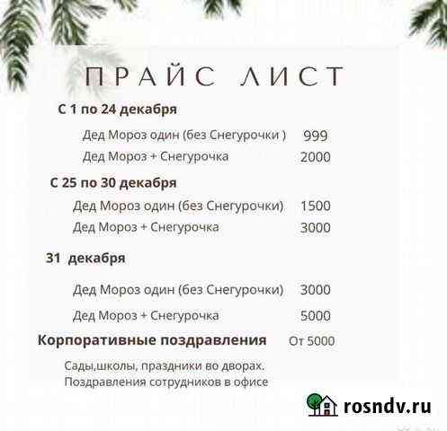 Дед Мороз и Снегурочка Саратов