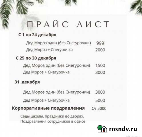 Дед Мороз и Снегурочка Саратов - изображение 1