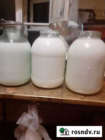 Молочная продукция,яйца Кашин - изображение 1