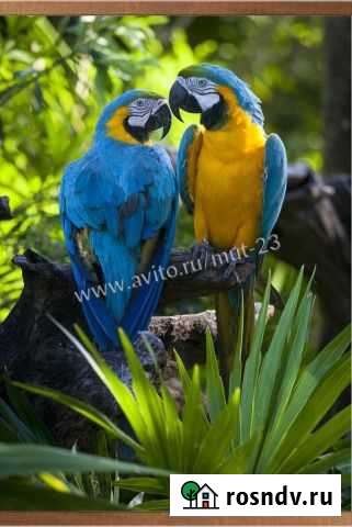 Настенный электрообогреватель Чита - изображение 1