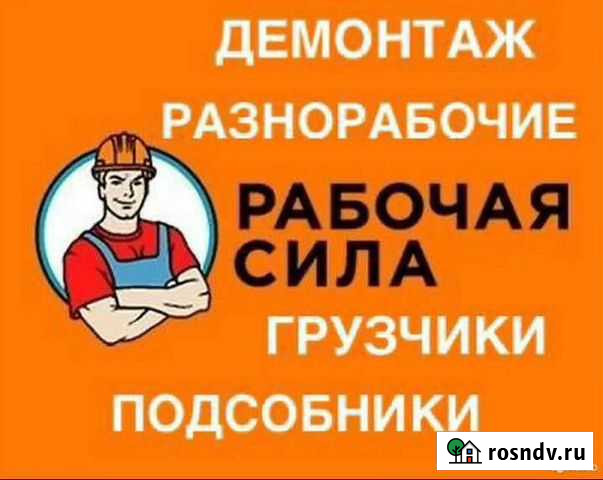 Разнорабочие.Грузчики.Демонтаж.Вывоз мусора Чебоксары - изображение 1
