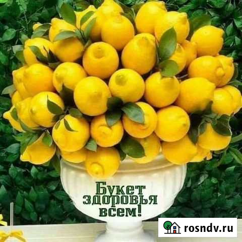 Генеалогия Воронеж - изображение 1