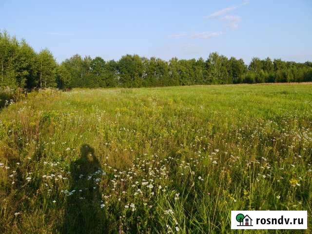 Участок СНТ, ДНП 69 сот. на продажу в Новогуровском Новогуровский - изображение 1