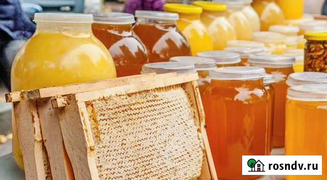 Мёд с домашней пасеки Великий Новгород - изображение 1