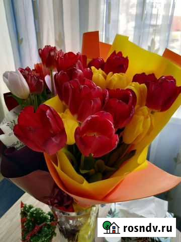 Аудиторские услуги Тольятти - изображение 1