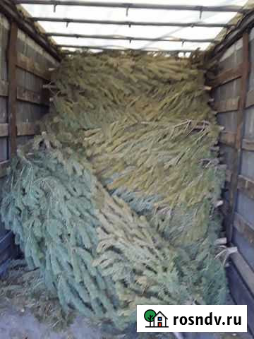 Переезды грузчики Чита - изображение 1