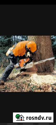 Ремонт крыши, и спил деревьев Зверево - изображение 1