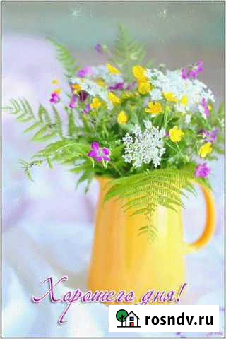 Участие в госторгах Красноярск - изображение 1