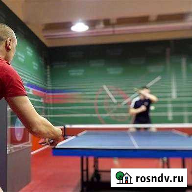 Спортивный аналитик Светлый - изображение 1