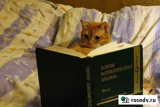 Математика, матанализ - помощь в решении задач Новосибирск - изображение 1