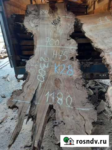 Слэб дерева / карагача Пушкино - изображение 1