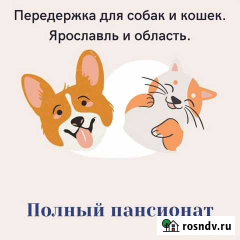 Передержка для собак и кошек Ярославль - изображение 1