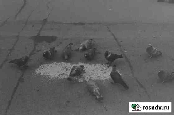 Проявка черно-белой фотопленки Саранск