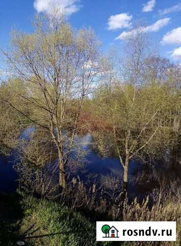 Фанера Любань - изображение 1