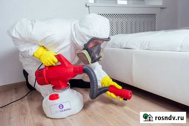 Уничтожение клопов, тараканов, муравьев, плесени Волжск - изображение 1