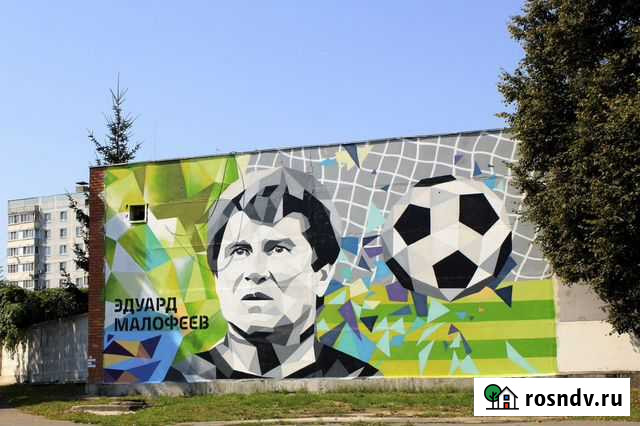 Роспись стен и аэрография Коломна - изображение 1