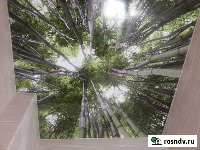 Натяжной потолок бамбуковый лес Барнаул - изображение 1