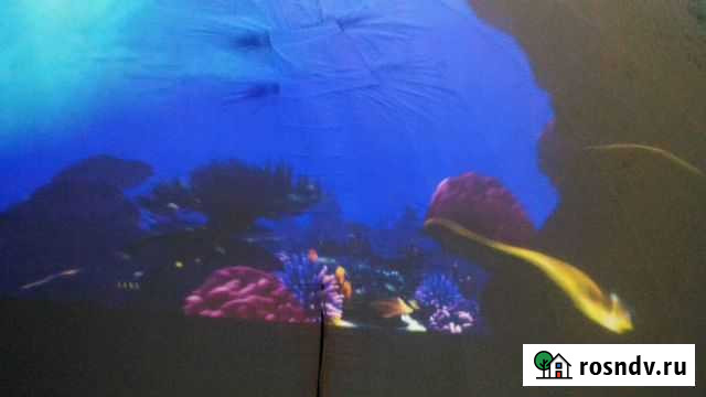 Мобильный планетарий Зеленогорский - изображение 1