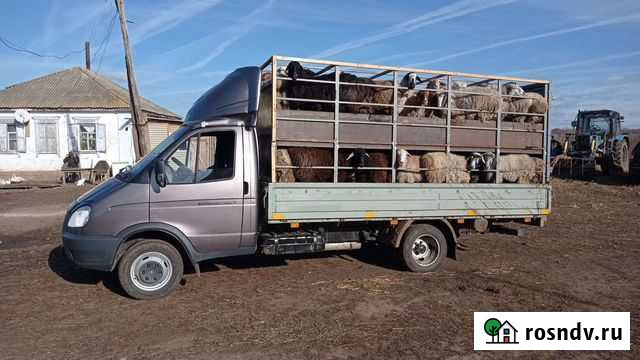 Грузоперевозки газель Благодарный - изображение 1