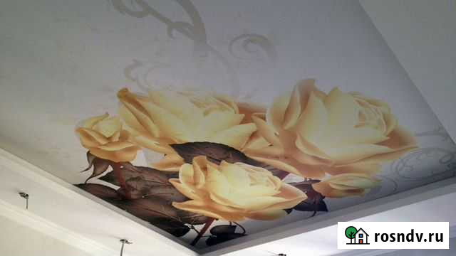 Натяжной потолок с фотопечатью Санкт-Петербург - изображение 1