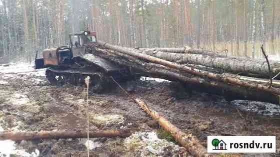 Услуги лесозаготовки Нижняя Тура