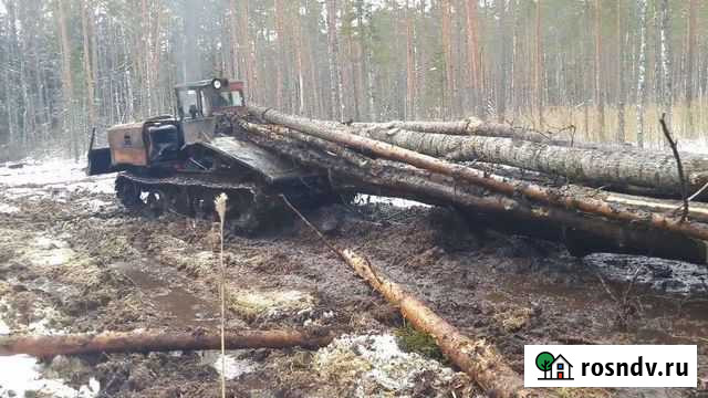 Услуги лесозаготовки Нижняя Тура - изображение 1