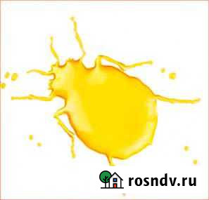 Уничтожение Клопов Тараканов Блох без Туманаобмана Волгоград - изображение 1