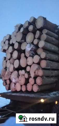 Закупаю лес на корню Вязники - изображение 1