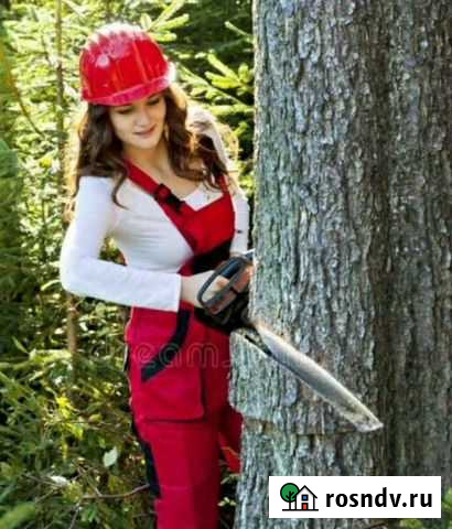 Спил деревьев Черкесск - изображение 1