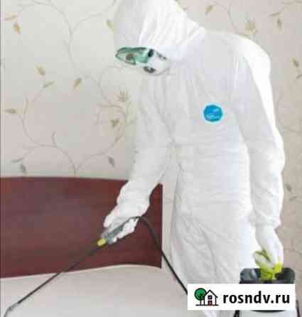 Клопы блохи тараканы муравьи уничтожение Пермь