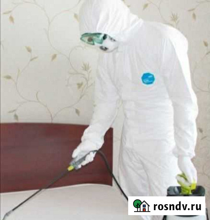 Клопы блохи тараканы муравьи уничтожение Пермь - изображение 1