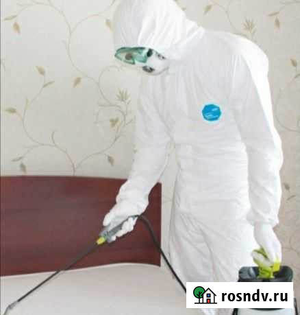 Клопы блохи тараканы муравьи уничтожение Пермь - изображение 1