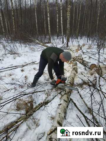 Спил,рубка,удаление деревьев,корчевка,озеленение Москва - изображение 1