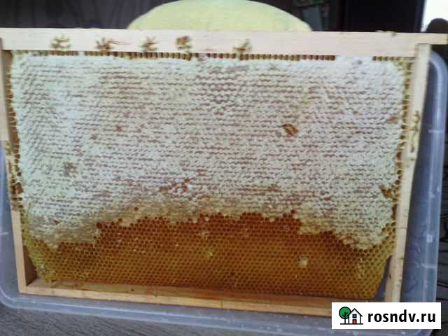 Подарок - сотовый мед пасеки мумы дор Ижевск - изображение 1