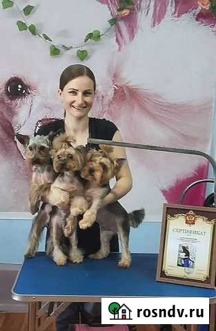 Стрижка собак и кошек Белгород - изображение 1