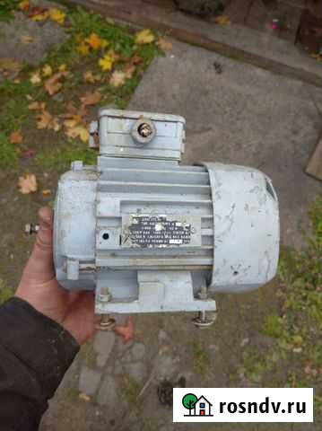 Электродвигатель 220/380 Луга - изображение 1