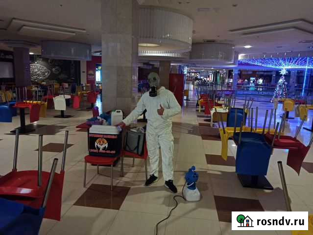 Уничтожения тараканов, клопов качественно Коломна - изображение 1