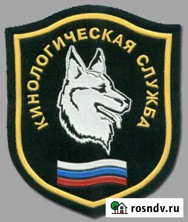 Кинологическая служба Белый Клык Санкт-Петербург - изображение 1