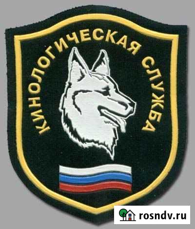 Кинологическая служба Белый Клык Санкт-Петербург - изображение 1