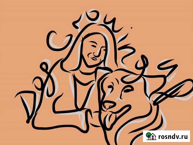 Бесконфликтная дрессировка собак. Добрый кинолог Барнаул - изображение 1