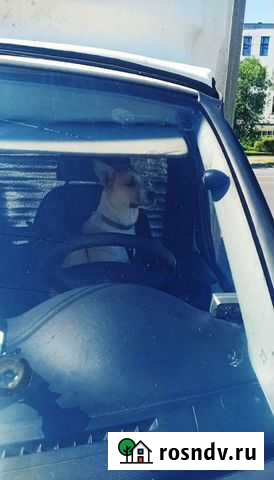 Доставка из Москвы в Беларусь Москва - изображение 1