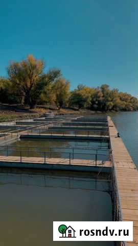 Садковая линия Астрахань - изображение 1