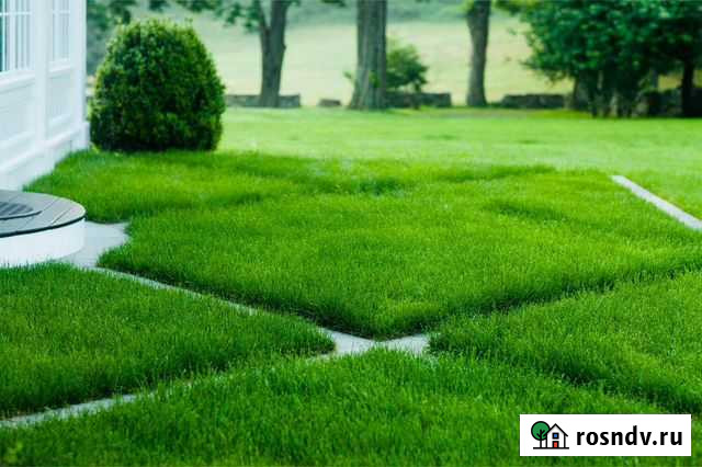 Рулонный газон «под ключ» Ульяновск - изображение 1