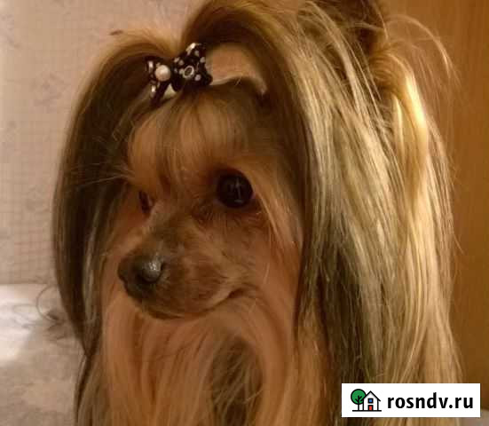 Стрижки от Тимати Брук Киров - изображение 1