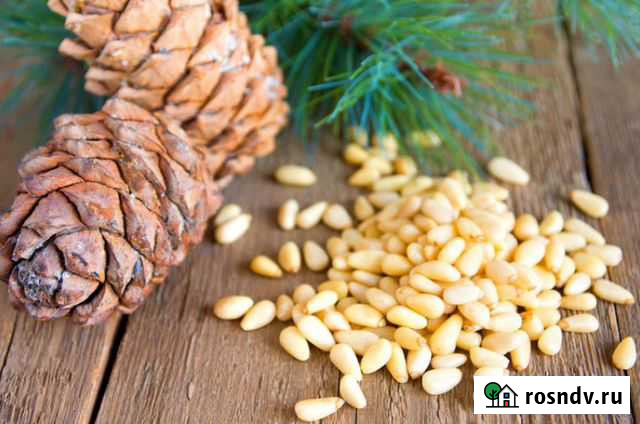 Переработка кедрового ореха Томск - изображение 1