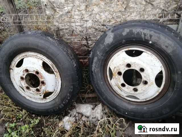 Колеса газ 53 паз Рамонь - изображение 1